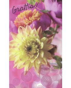 2-os R aik.onnittelu