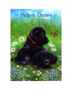 1-os lastenkortti Giordano