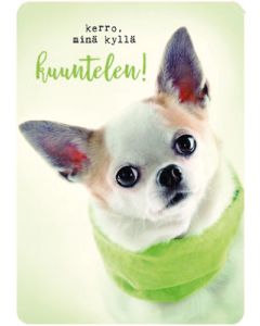 Postikortti Anna-Mari West lemmikit