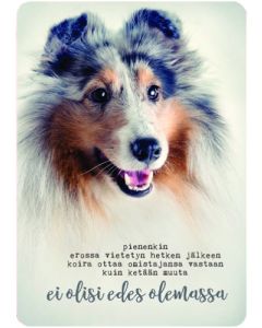 Postikortti Anna-Mari West lemmikit