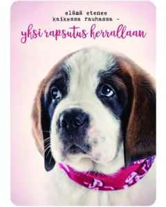 Postikortti Anna-Mari West lemmikit