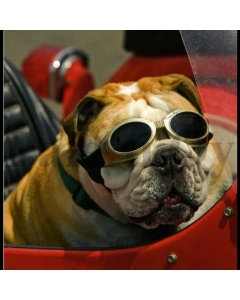 1-os neliökortti Aquarupella