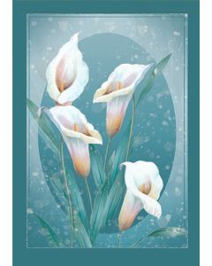 Suruadressi R Suomen Punainen Risti