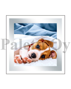 2-os neliökortti Daylight