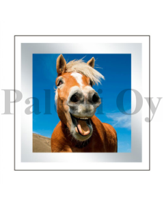 2-os neliökortti Daylight