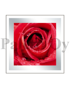 2-os neliökortti Daylight