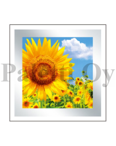 2-os neliökortti Daylight