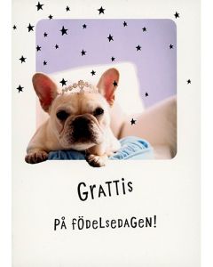 Postikortti eläin ruotsinkielinen Hallmark