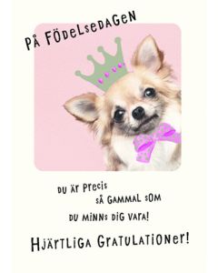 Postikortti eläin ruotsinkielinen Hallmark