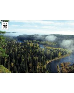 Postikortti WWF
