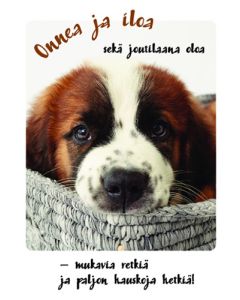 1-os eläinkortti koira