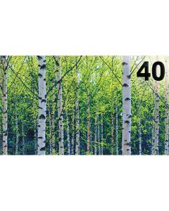 2-os vuosikortti 40V luonto
