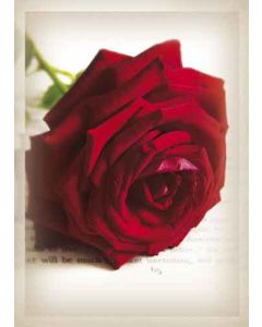 Postikortti onnittelu