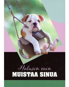 1-os eläinkortti koira