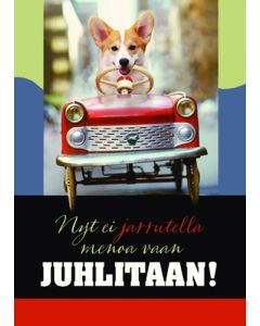 1-os eläinkortti koira