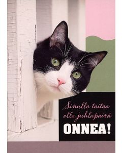 1-os eläinkortti kissa