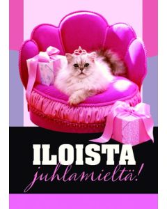 1-os eläinkortti kissa