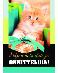 1-os eläinkortti kissa