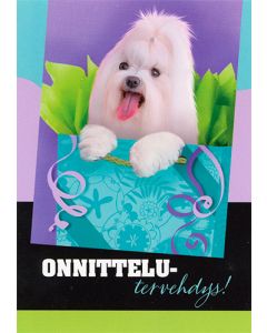 1-os eläinkortti koira