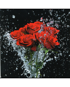 1-os neliökortti Aquarupella