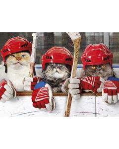 Postikortti hupi Avanti