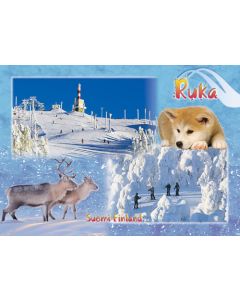 1-osainen matkailukortti