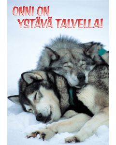 1-osainen matkailukortti