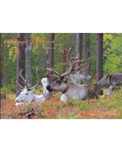 1-osainen matkailukortti