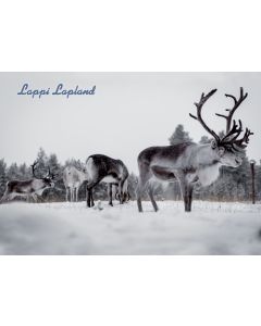 1-osainen matkailukortti