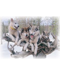 1-osainen matkailukortti