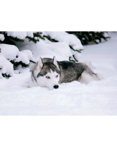 1-osainen matkailukortti