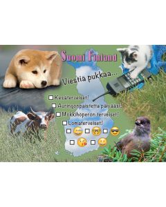 1-osainen matkailukortti