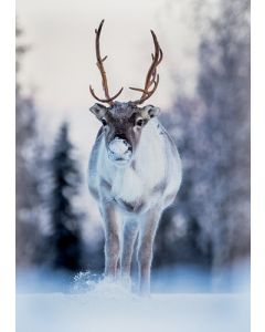 1-osainen matkailukortti