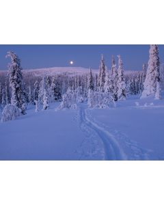 1-osainen matkailukortti