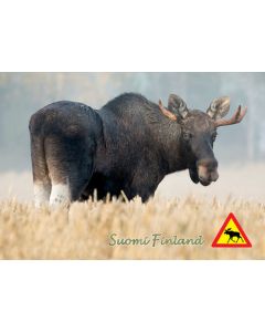 Postikortti matkailu