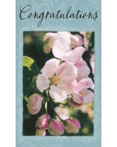 2-os valmistuminen engl.