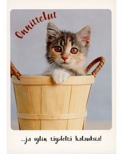 1-os eläinkortti kissa