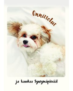 1-os eläinkortti koira