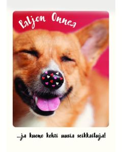 1-os eläinkortti koira