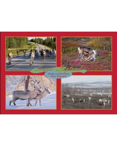 1-osainen matkailukortti