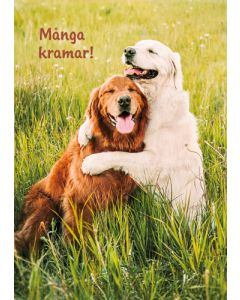 1-os hupikortti R Avanti