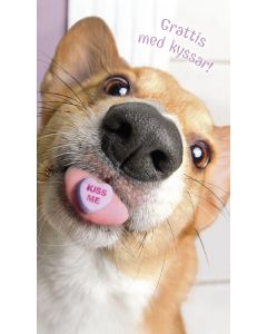 2-os hupikortti R Avanti