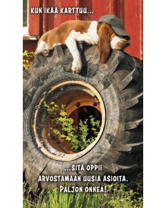 2-osainen hupikortti Avanti