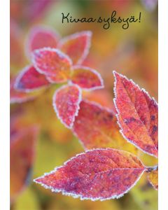 Postikortti syksy