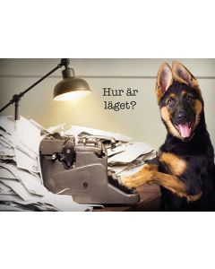 1-os hupikortti R Avanti