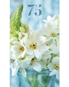 2-os vuosikortti R 75v