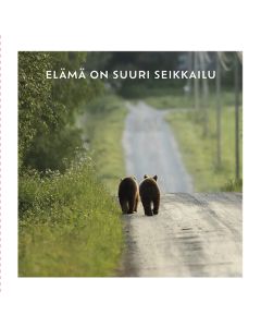 2-os neliökortti Luonto 14,5x14,5 cm