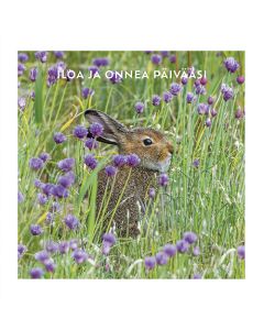 2-os neliökortti Luonto 14,5x14,5 cm