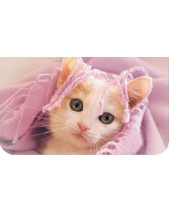 2-os kortti kissat-kissat-kissat