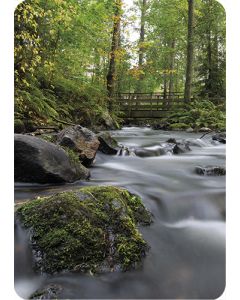 1-os kortti Tommi Hynynen